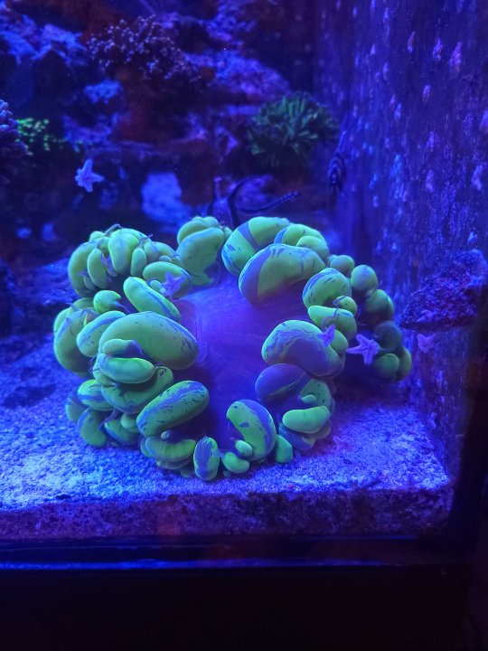 001_Feb24_POTM.jpg