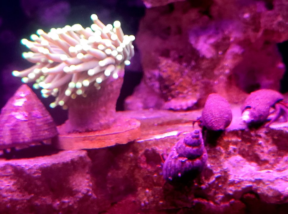 002_Feb24_POTM.jpg