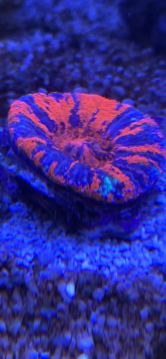 003_Jan24_POM.png