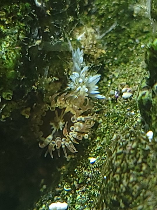 004_Feb24_POTM.jpg