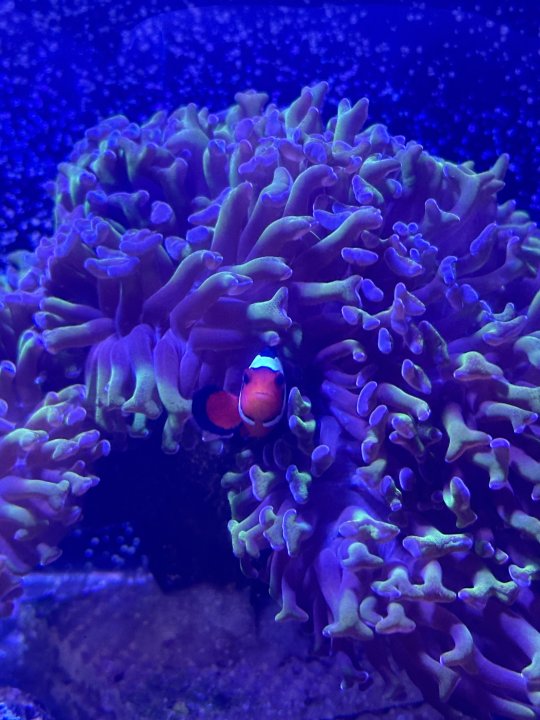 009_Jan24_POM.jpeg