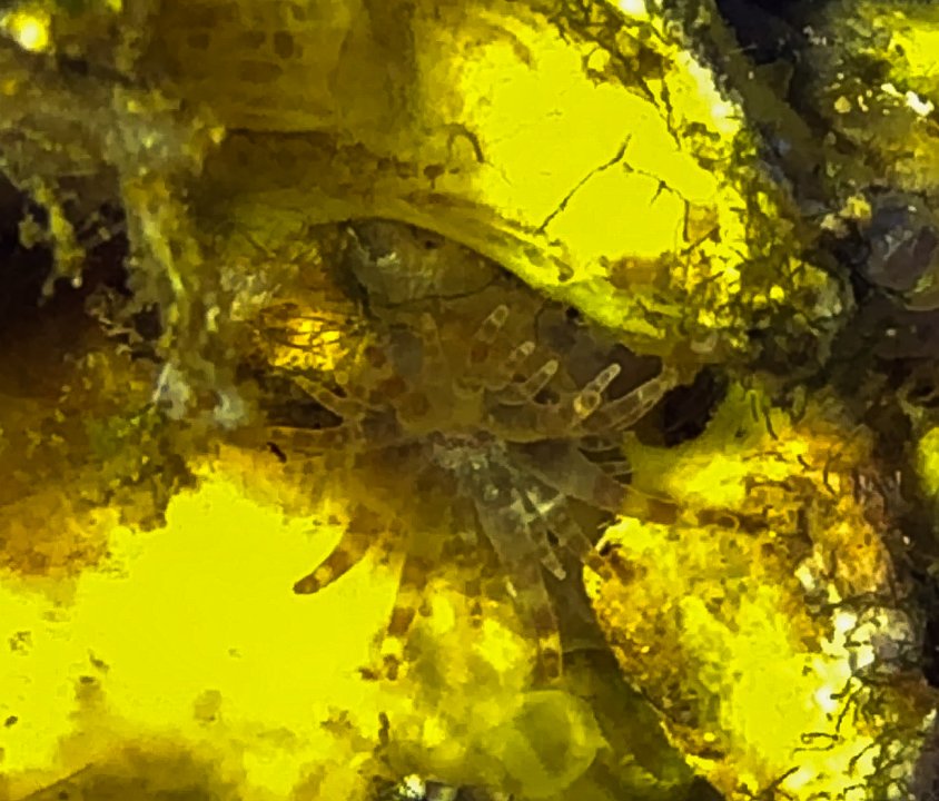 00E5981B-93ED-4F79-B247-B942AD878935.jpeg