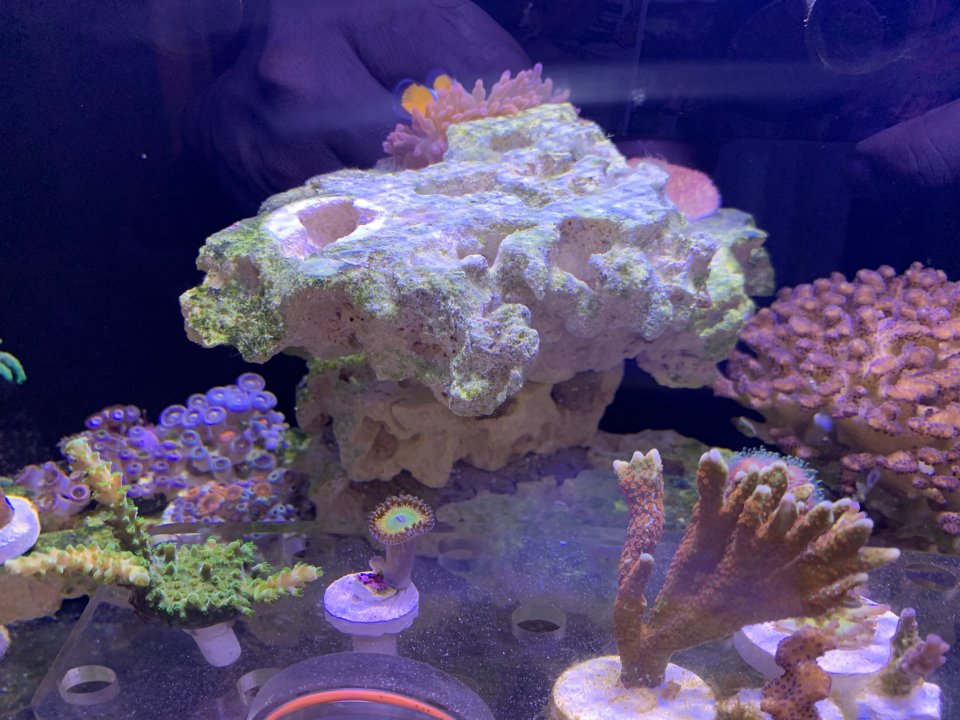 02AB5059-1D0F-4D01-97E5-30FA8E0E632C.jpeg