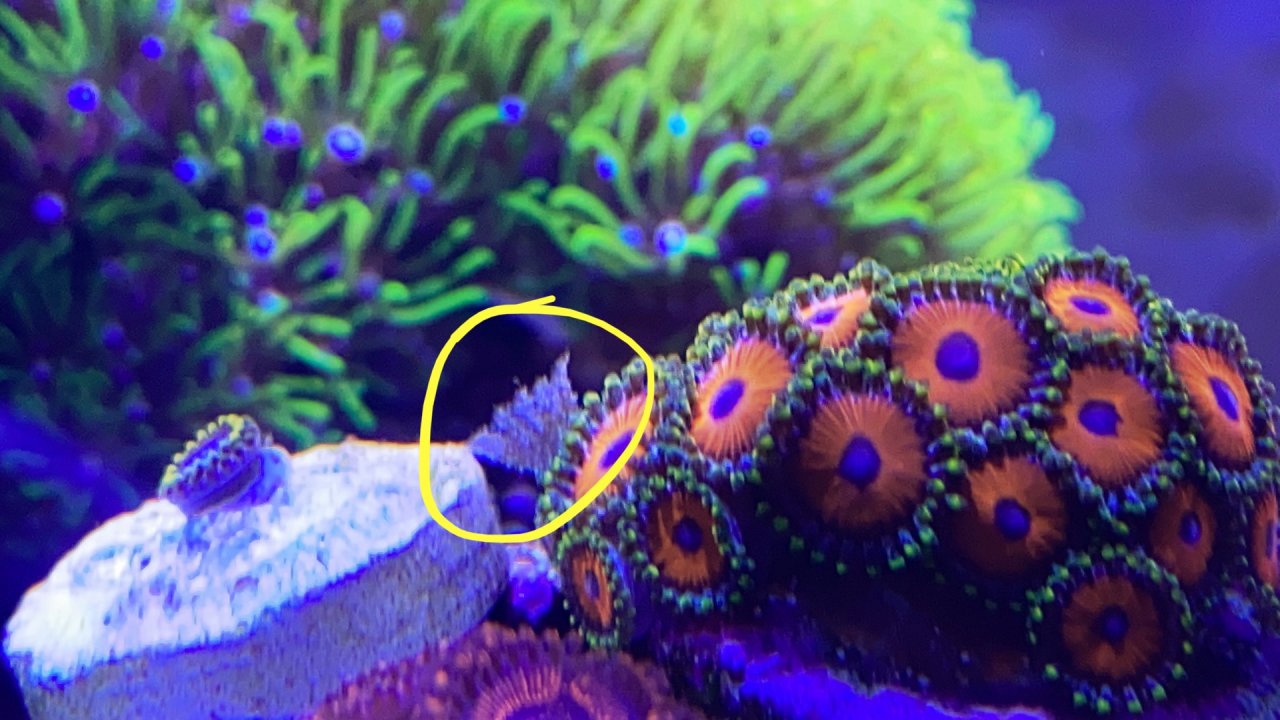 03191D2D-9363-4260-BAA0-D7D30DAA6747.jpeg