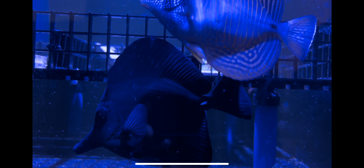 0359862B-2341-44D3-82D6-547421423153.png