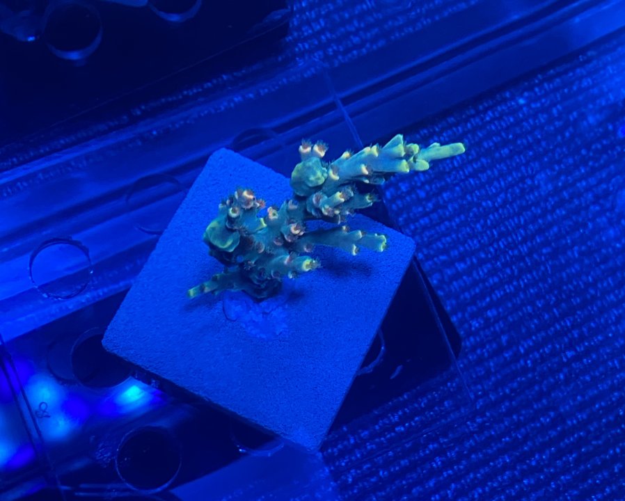 036D9E2D-005A-456D-8E80-F4F722639D6D.jpeg
