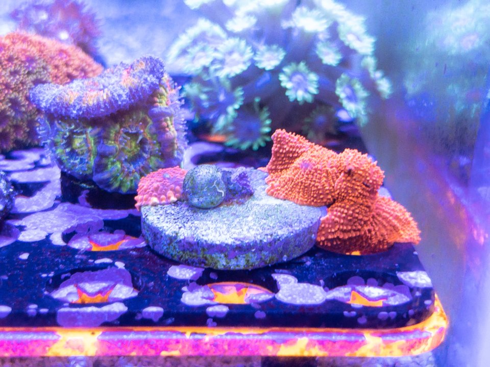 03846561-BBAD-4611-A52B-9C1CA110B0F3.jpeg