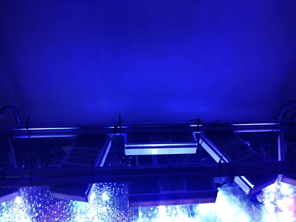 04054F88-092E-4BF3-A270-8F8DC6E81698.jpeg