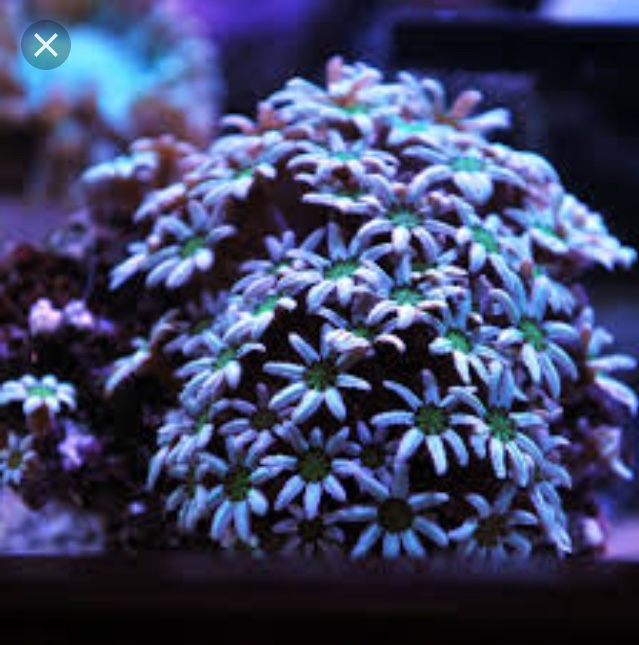 0466AAB6-1EB8-492A-99FA-A415F0432E61.jpeg