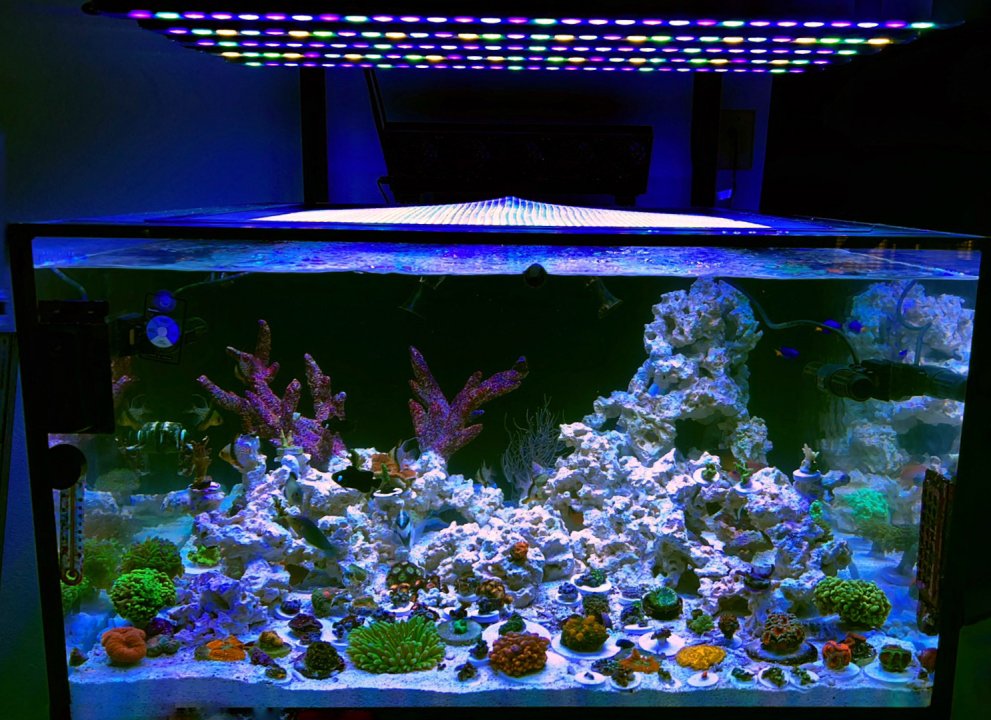 0896F5DE-06EA-450A-B3AC-D8A9F68CED20.jpeg