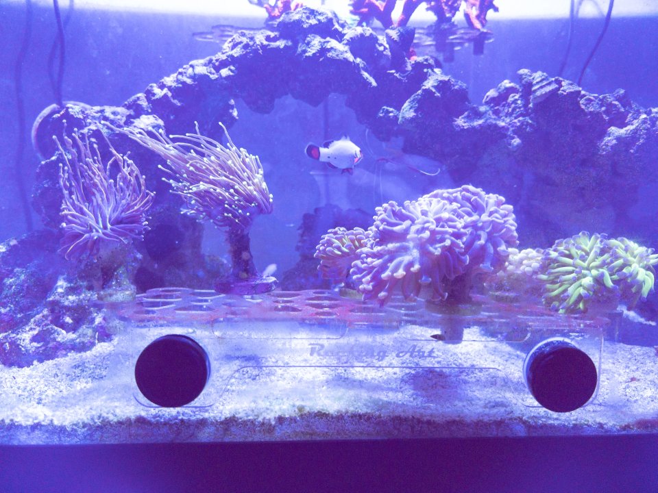 08CFF806-6EF5-4604-A5D9-BDF00CC49D0D.jpeg