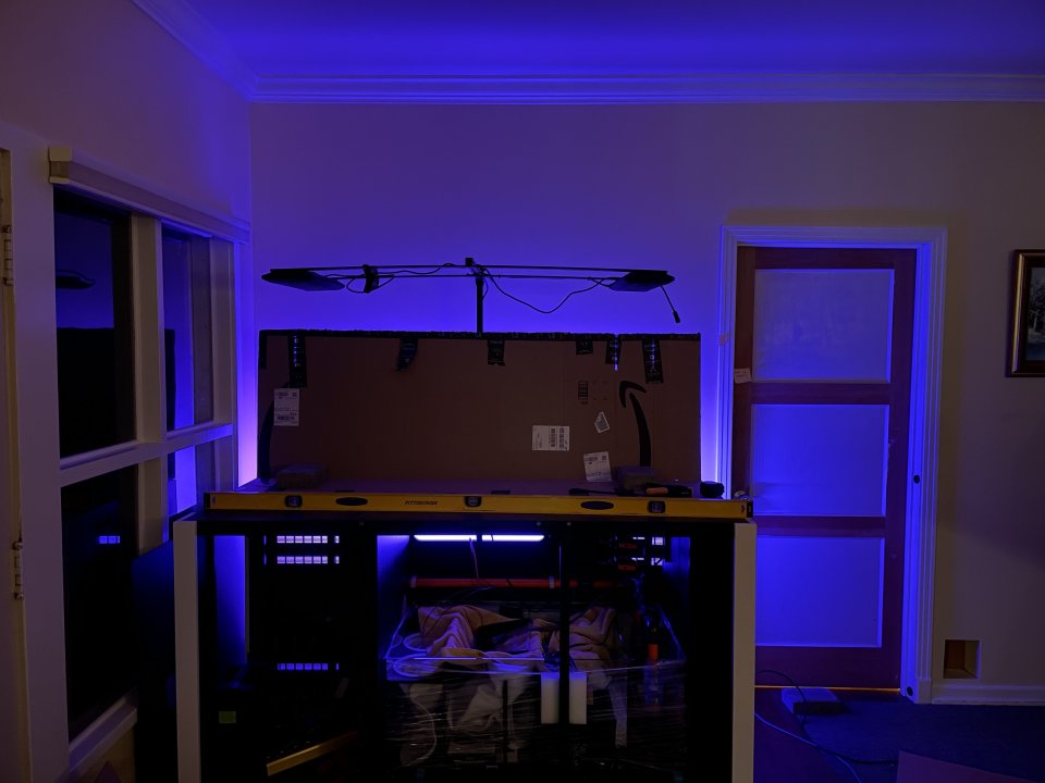 10 in backlight.jpg