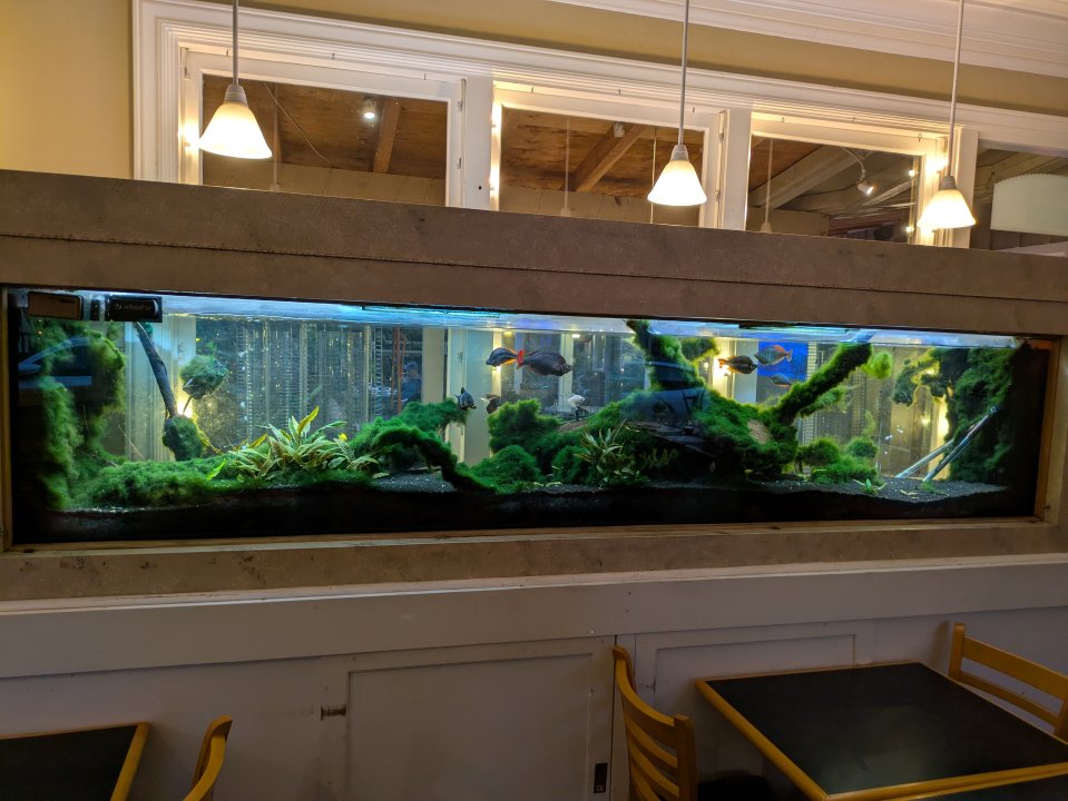 1000002208.jpg