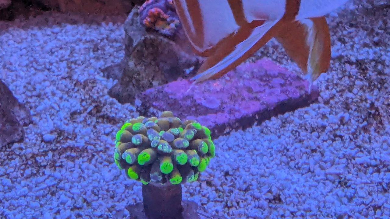 1000006188.jpg