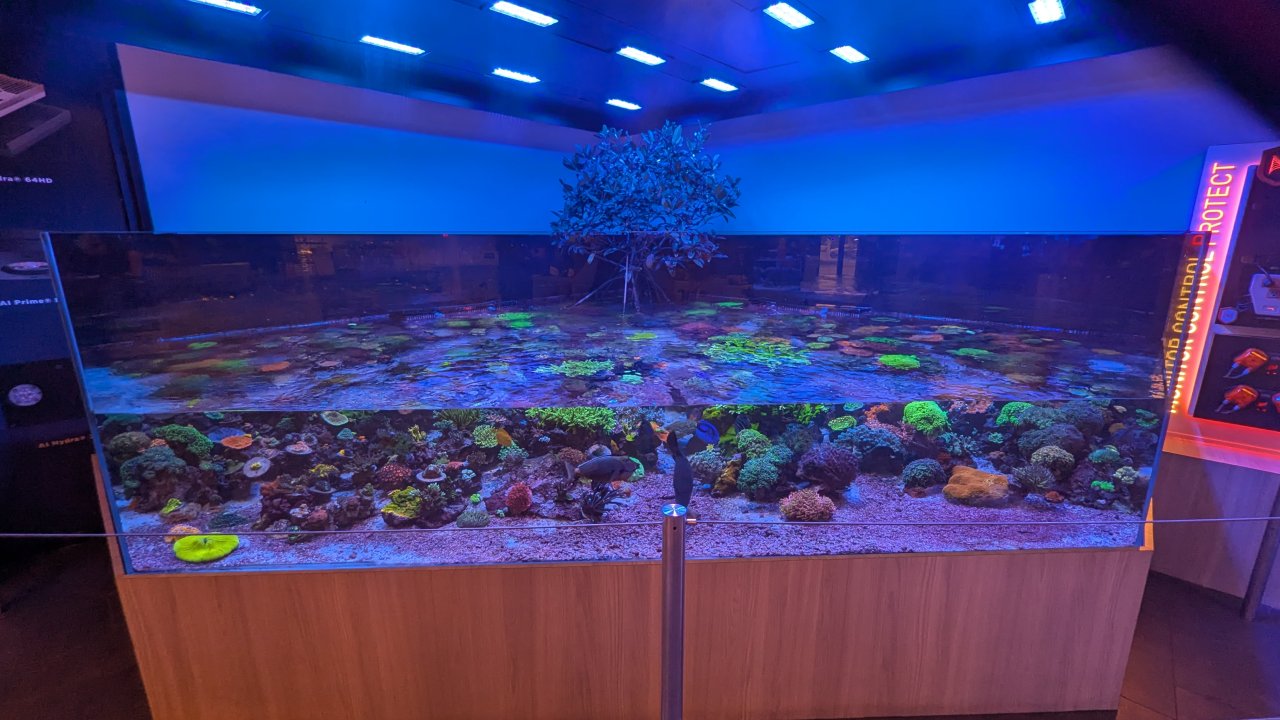 1000008720.jpg 1000008720.jpg