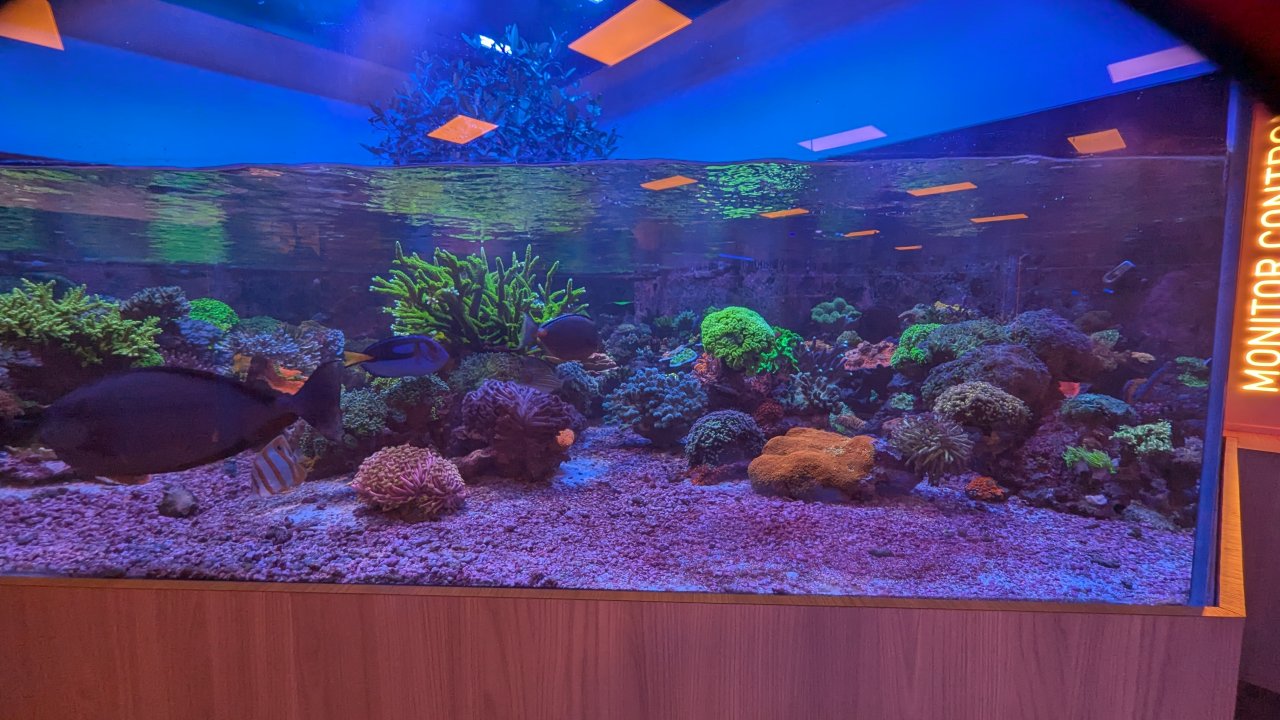 1000008723.jpg 1000008723.jpg