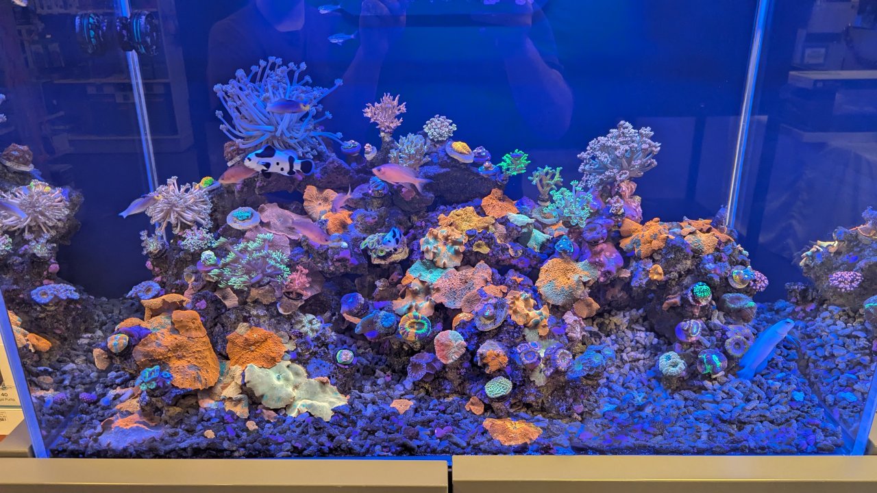 1000008725.jpg 1000008725.jpg