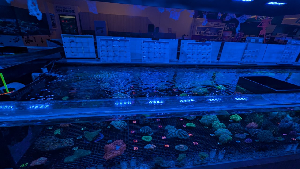 1000008727.jpg 1000008727.jpg