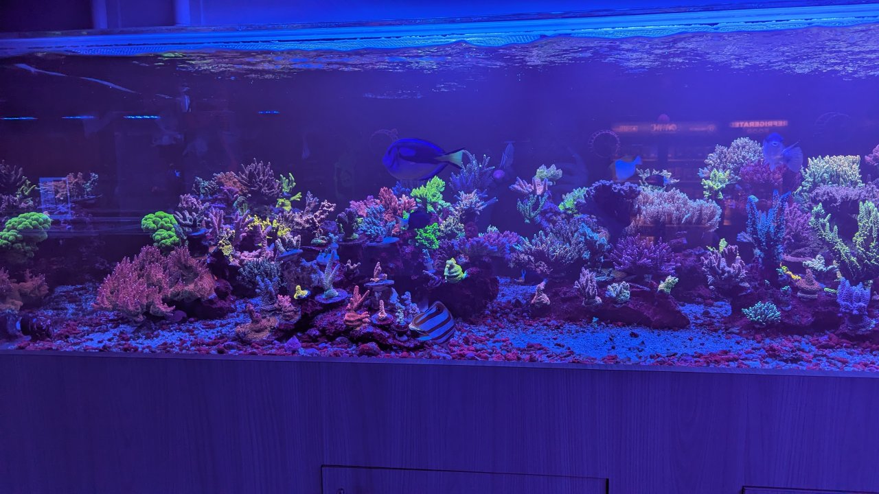 1000008728.jpg 1000008728.jpg