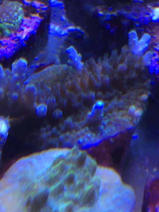 10E71F65-3C59-4EC9-BE15-38C5EC96D914.jpeg