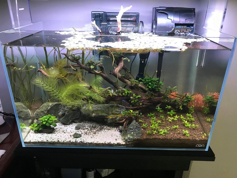 10G.jpg