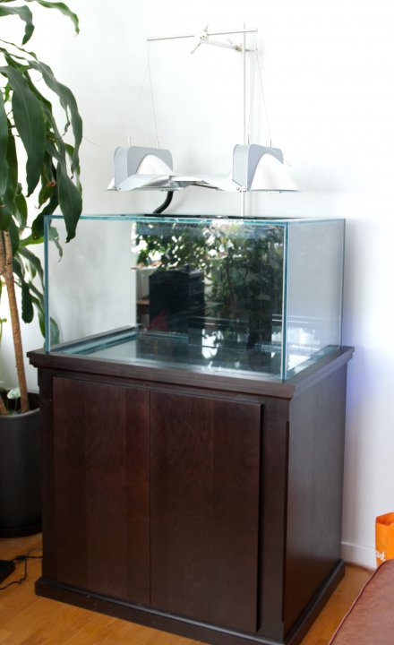 12-20-2015_Tank.jpg
