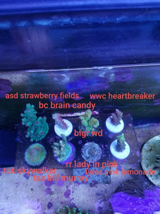 123_1(2).jpeg