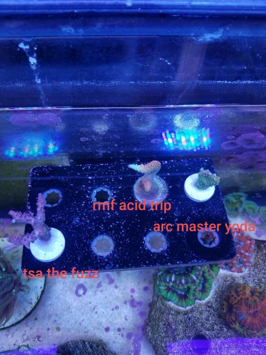 123_1(3).jpeg