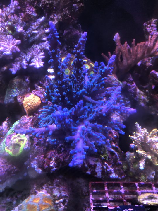 1382DA35-1DA4-44FD-AB83-F791B430F1DF.jpeg