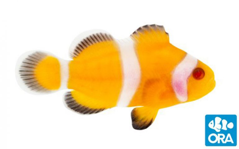 1593676336409.png