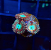 1606379053531.png