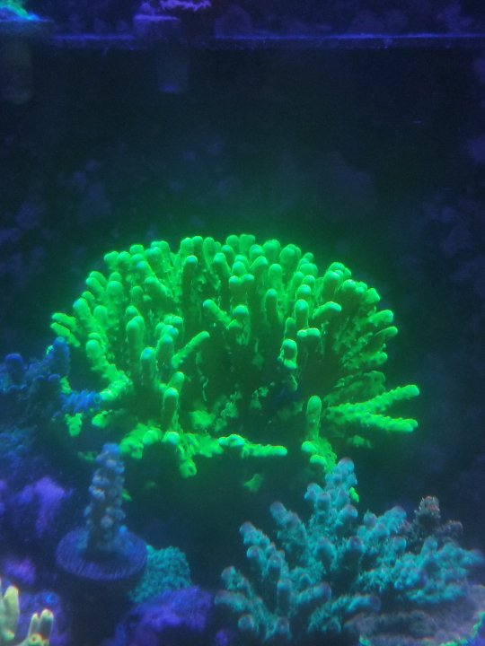 1617390501760.png