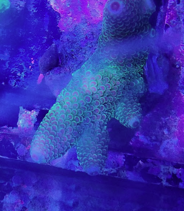 1619652486668.png