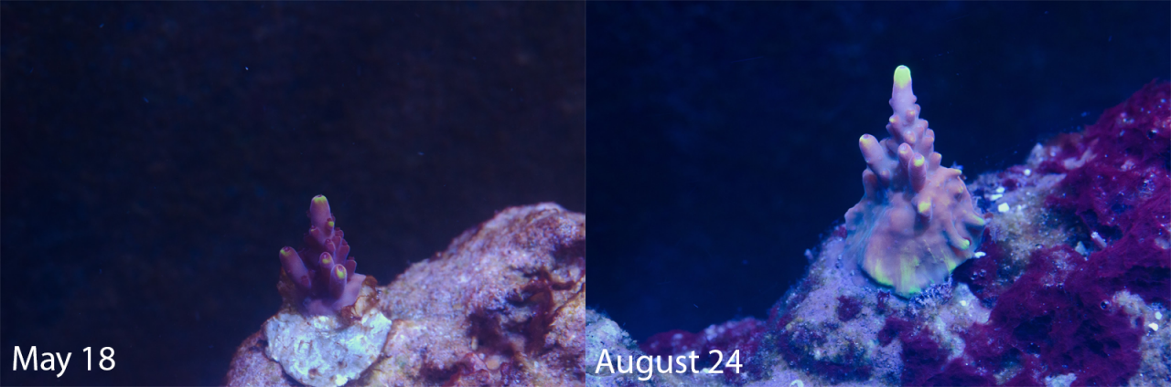 1630727561162.png
