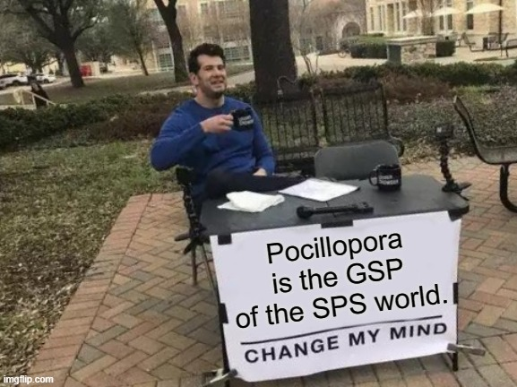 1654895052858.png