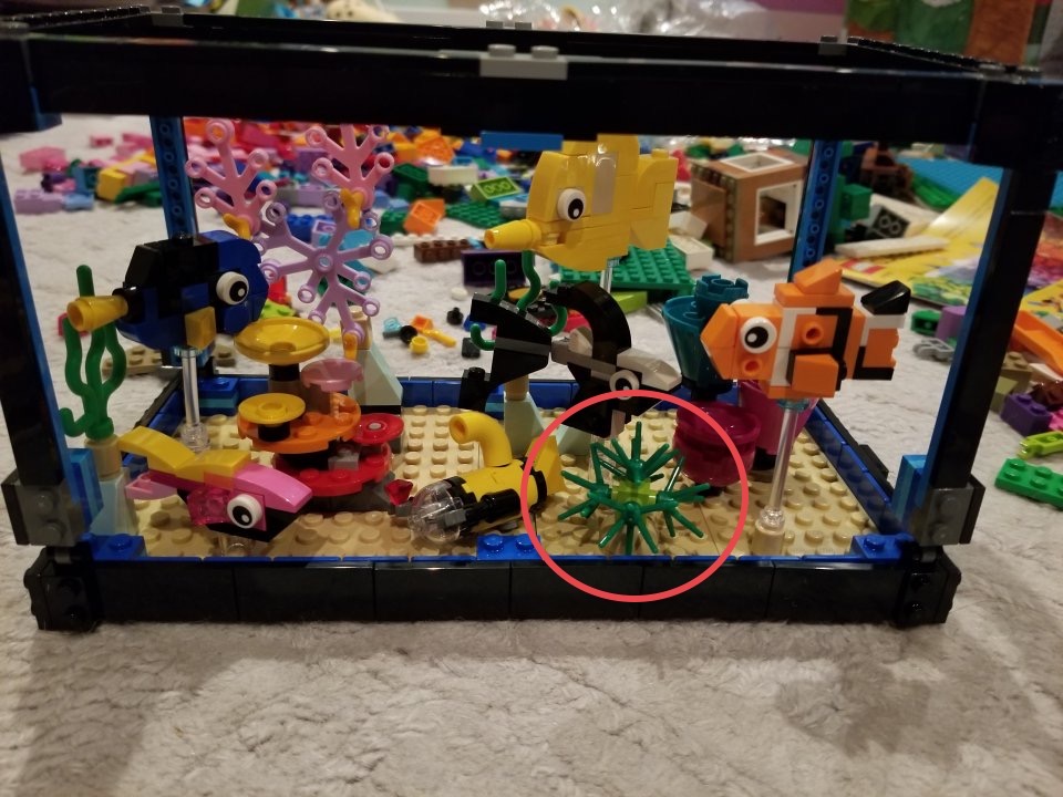 1656700058427.jpeg