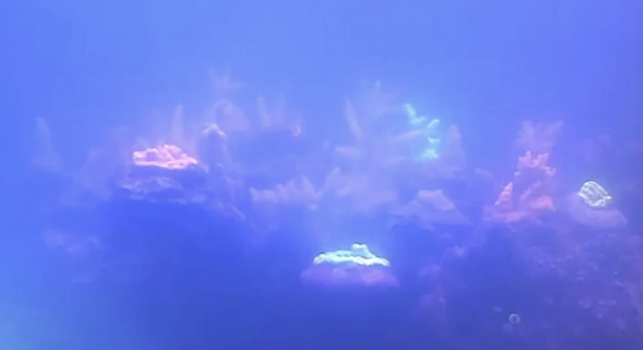 1659579864342.png