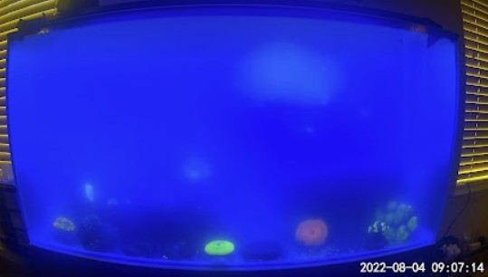 1659631322484.png
