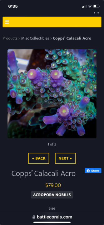 1708223748896.png