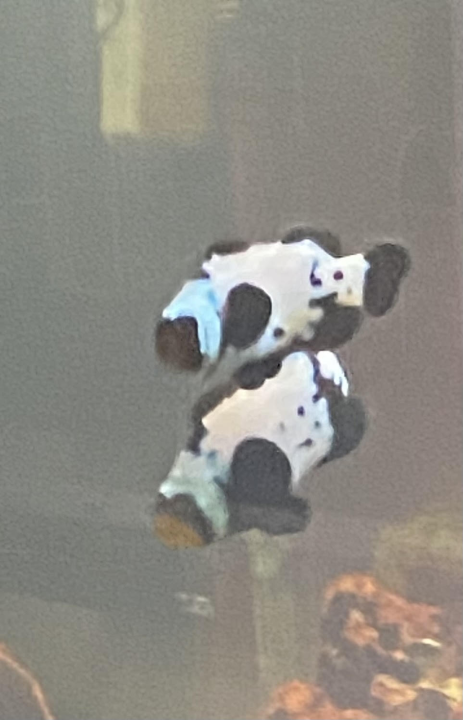 1715043600112.png