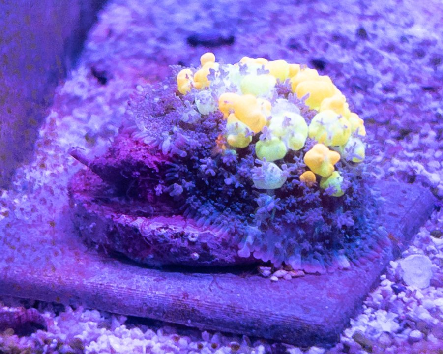 19B74800-02EA-411E-81E3-77D2F2353233.jpeg