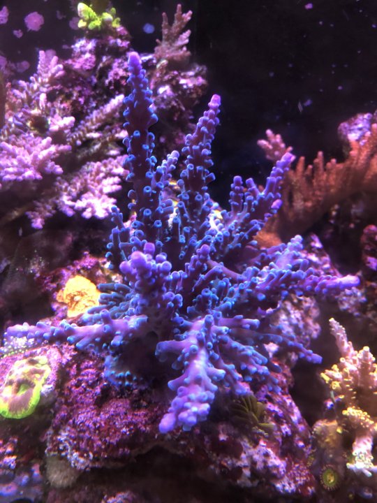 1C5B1C89-B91F-4896-941B-6211E064184C.jpeg