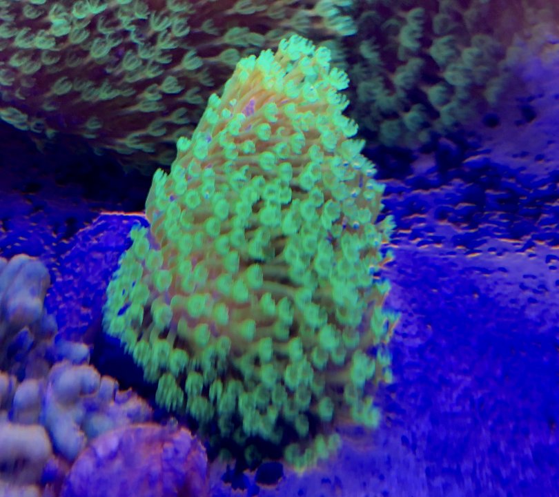 1C84514F-CC2D-4E14-AA06-F77DDB225FEA.jpeg