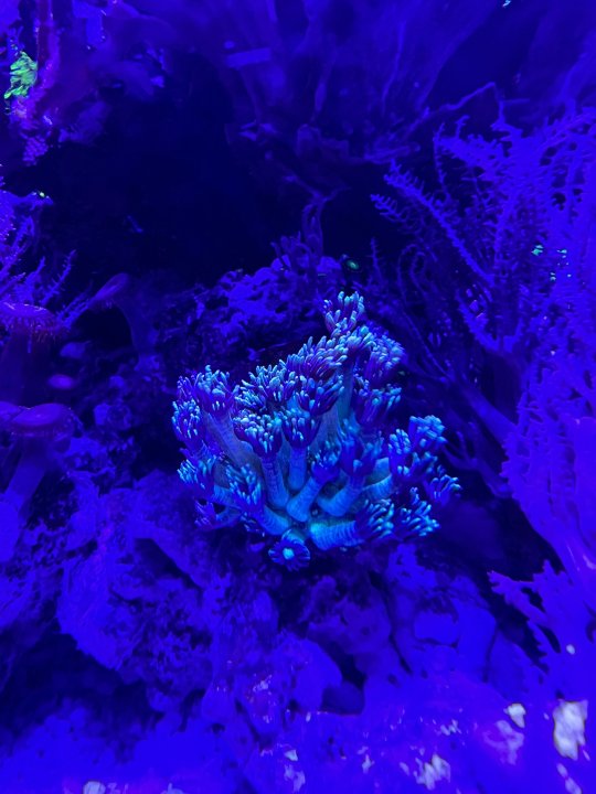 1E628366-B168-4F90-8D63-E8EA68412AF9.jpeg