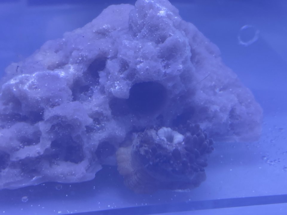 1E728464-D289-4F56-A4AB-6616C8F472BD.jpeg