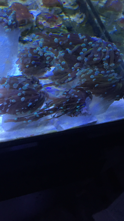 1F0F6068-A7F3-4250-AD1B-2D442B15FA29.png