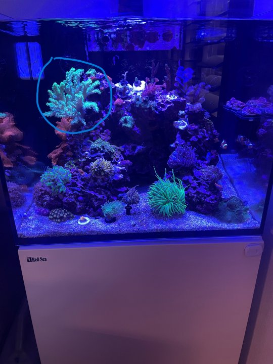 2-26-24 Da.jpg