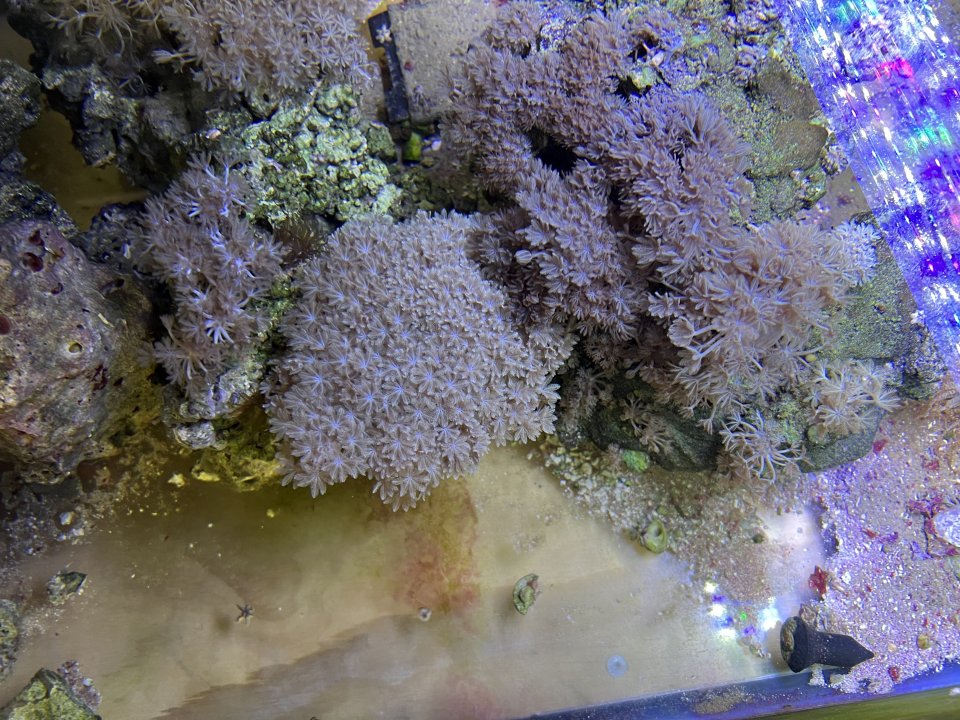 20112B13-6835-427B-8634-5CE08A67147B.jpeg
