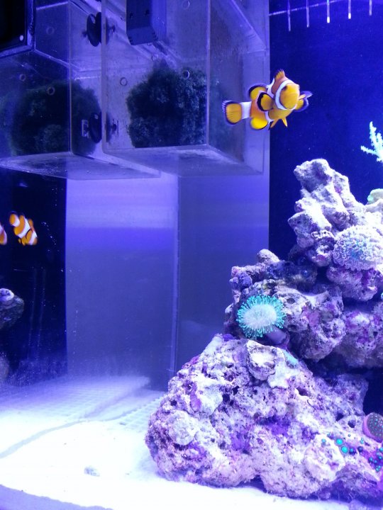 2013-03-09 18.43.52.jpg