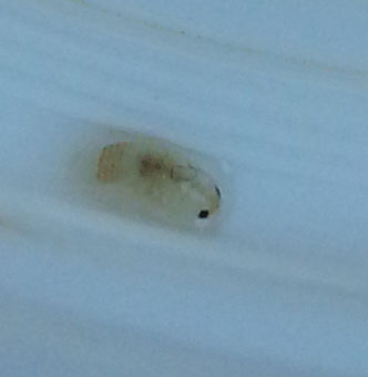20130728_124325.jpg